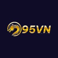 95vn 
