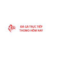 Da Ga Truc Tiep  Thomo Hom Nay