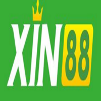 xin88  st10