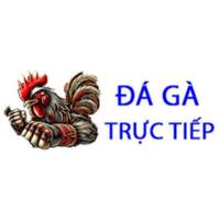 Da Ga  Truc Tiep