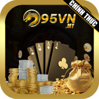 95vn my