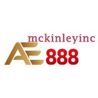AE888 mckinleyinc