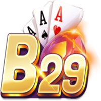 B29  s