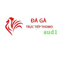 Đá Gà Trực Tiếp Thomo Hôm Nay 