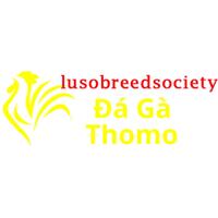 Đá Gà Trực   Tiếp Thomo
