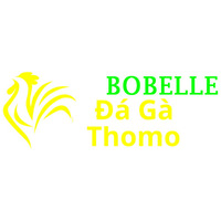 Đá Gà Trực Tiếp Thomo