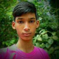 PLMasum 