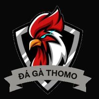 đá gà  thomo
