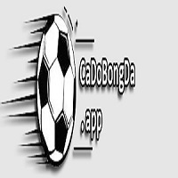 Trang Cá Độ Bóng Đá Uy Tín 