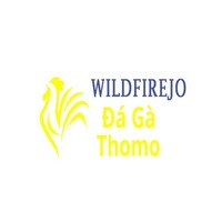 Đá Gà Trực Tiếp  Thomo