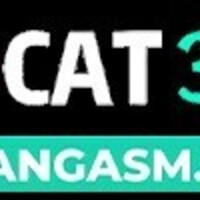 cat368 