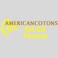 Đá Gà Trực Tiếp  Thomo