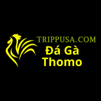 dagaatrip pusa