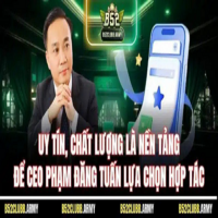 CEO  Phạm Đăng Tuấn
