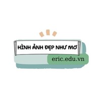 Ericedu Vn