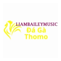 Đá Gà Trực Tiếp  Thomo