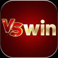 VSWIN 