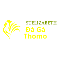 Da Ga Truc Tiep Thomo