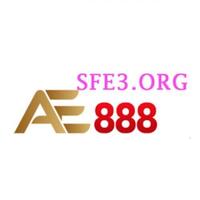 AE888 fe3