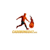 Cá độ  bóng đá