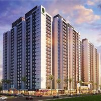 Prestige Evergreen