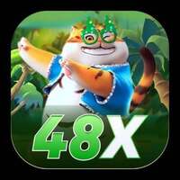 48x 