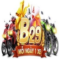 b29 