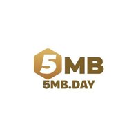 5 MB