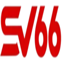 sv66team cn com