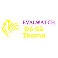 Da Ga Truc Tiep Thomo