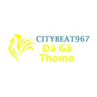 Đá Gà Trực Tiếp Thomo 