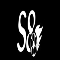 s8lam cn com