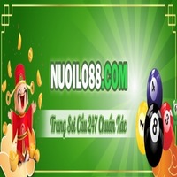 Nuoilo888 com