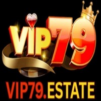 CEO Vip79  Michael Lê