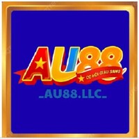 AU88  LLC