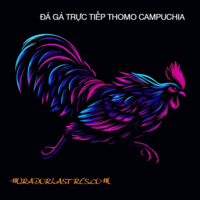 dagatructiepmirador 
