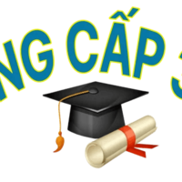 Bằng cấp uy tín 365