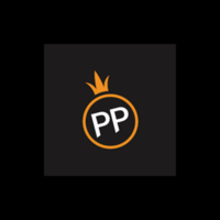 ppdianzi com