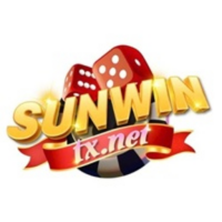 sunwintxnet 