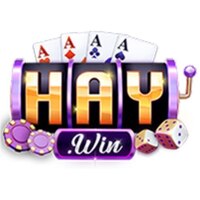 HAYWIN 