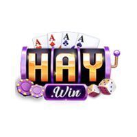 HAYWIN  Biz