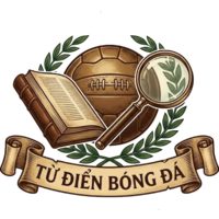 Sân Cỏ Insight