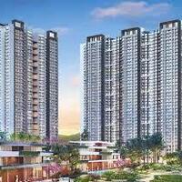 prestige goldden