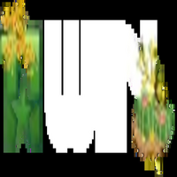 Nhà cái 11WIN