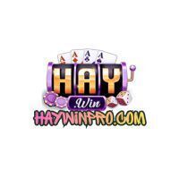 Haywin  Com