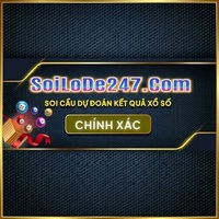 Soi Cau 247