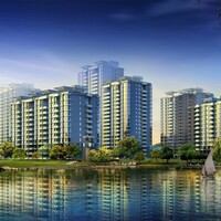 Purva Northern  Lights