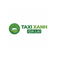 chothuetaxixanh gialai