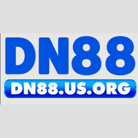 DN88 