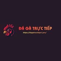 dagatructiepc1 pro